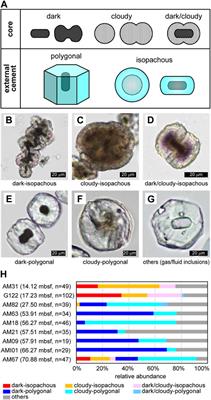 Microbial traces found in microdolomite associated with seep-related shallow gas hydrate